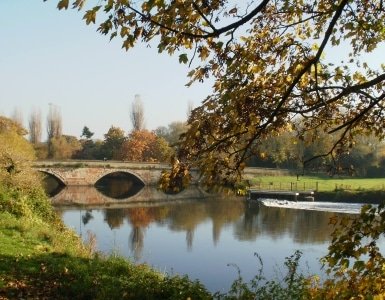 Tamworth Escorts